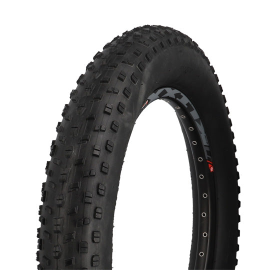 PNEU VTT 20X4.00 TR FAT BIKE TT NOIR 33 TPI (102-406)