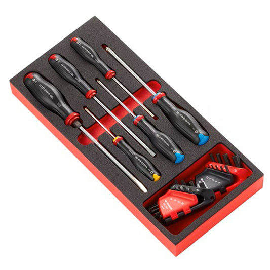 MODULE MOUSSE TOURNEVIS PROTWIST/ CLÉS MÂLES/TORX FACOM