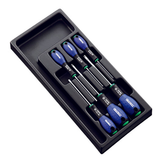 MODULE 6 TOURNEVIS TORX - EXPERT - E194941