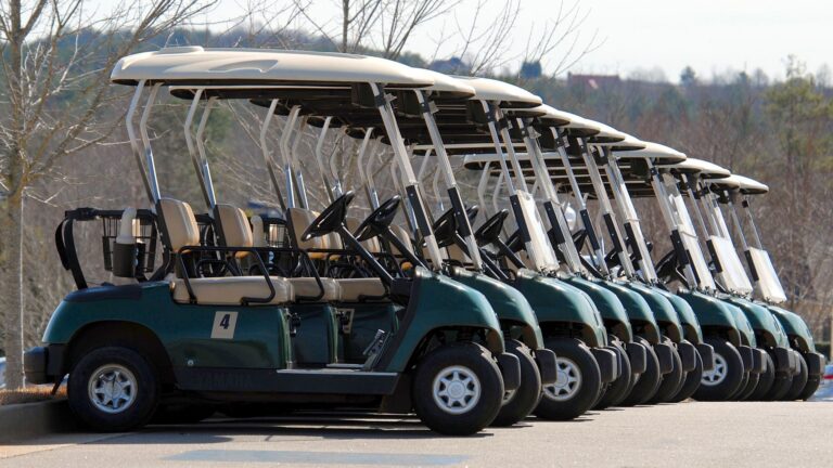 Guide d’achat de la golfette Melex : modèles, prix et avis 2026